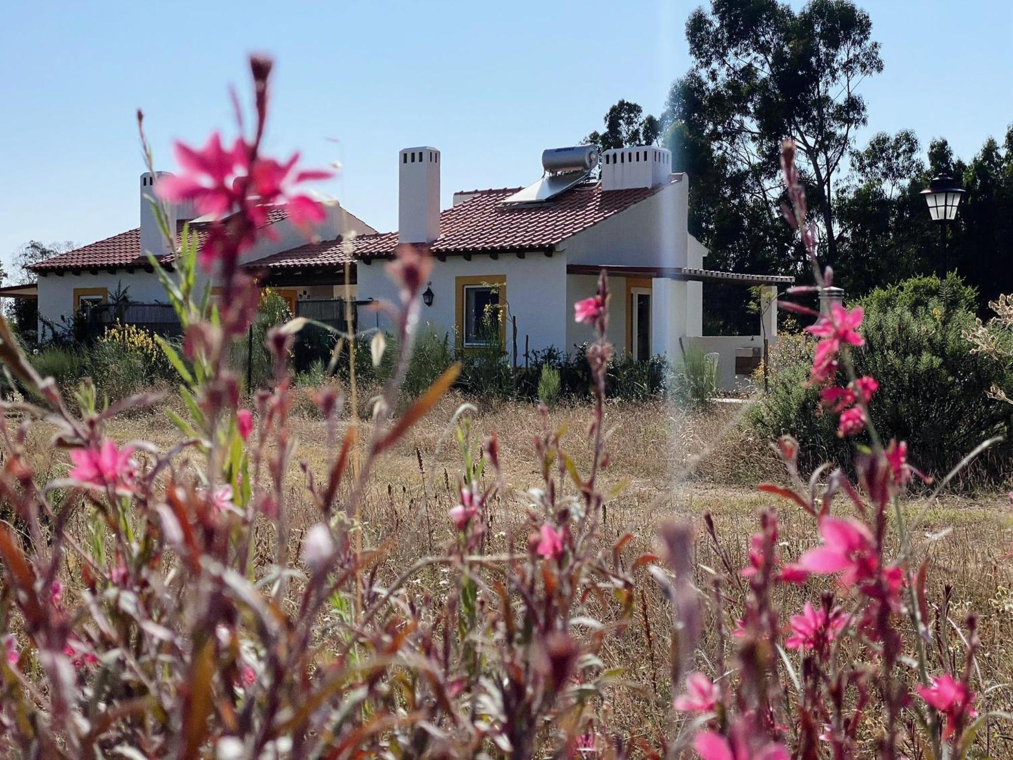 Monte Dos Cachoupos Villa São Luís Eksteriør bilde